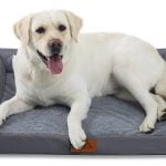 Camas ortopédicas para perros mayores: comodidad para tu mascota