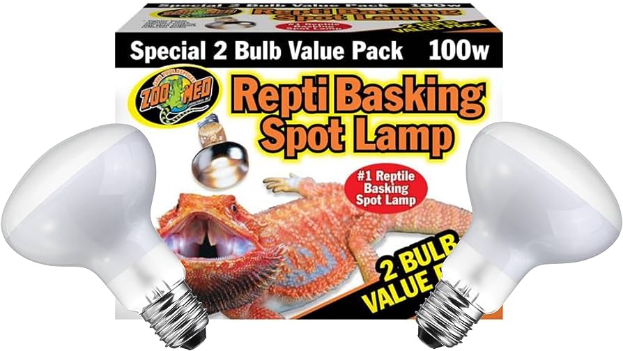 Guía Segura Para Usar Lámparas Térmicas En Reptiles - Mercadillo5