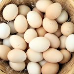 Huevos orgánicos y de calidad: la mejor opción en comida