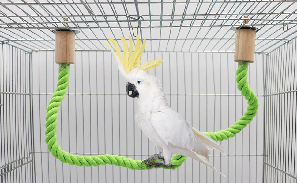 Los Mejores Columpios Y Perchas Para Aves Mascotas - Mercadillo Productos